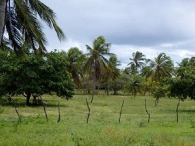 Natur-Grundstück m Bereich Santa Lucia   Brasilien - 1